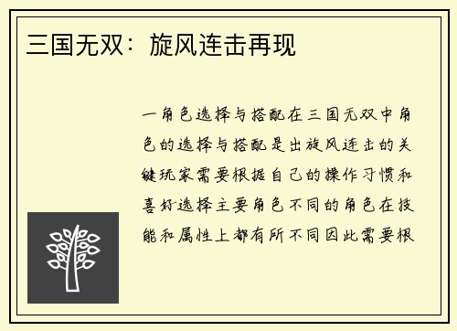 三国无双：旋风连击再现