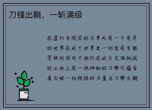刀锋出鞘，一斩满级