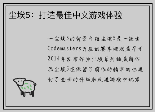 尘埃5：打造最佳中文游戏体验